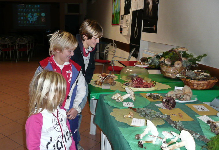Mostra micologica con partecipazione di NM